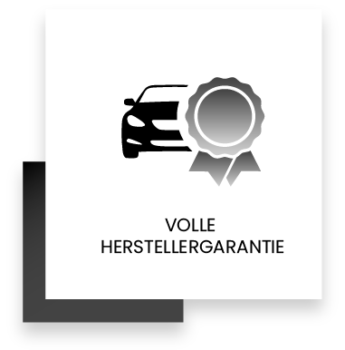 Icon zum Vorteil volle Herstellergarantie 